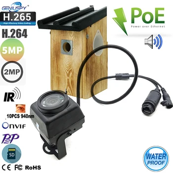 Malé Venkovní Mini IR IP POE Kamery, Noční Vidění IPC Široký Úhel, Audio Video Bezpečnostní kamerový systém P2P Na Vif Ptačí Klec